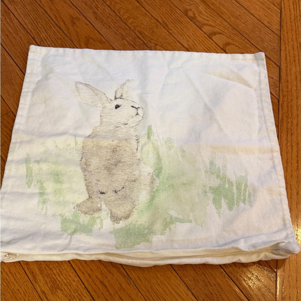 Pottery Barn 18 x 18 pillow cover watercolor bunny rabbit green cream spring